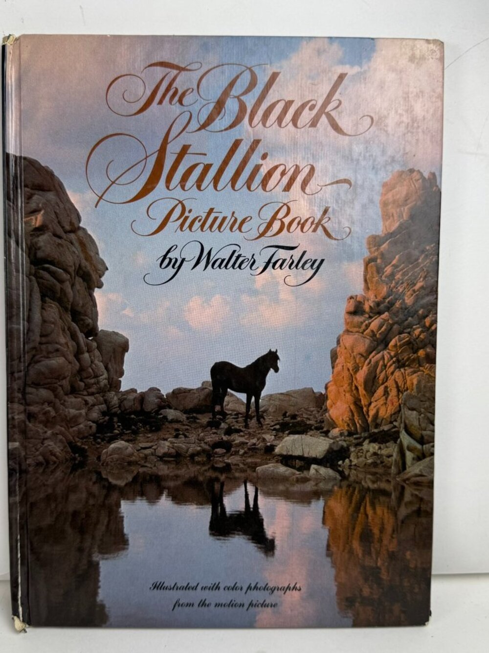 The Black Stallion Picture Book Walter Farley Movie Hardcover Spine Wear